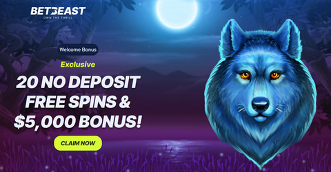 betbeast casino Gameplay